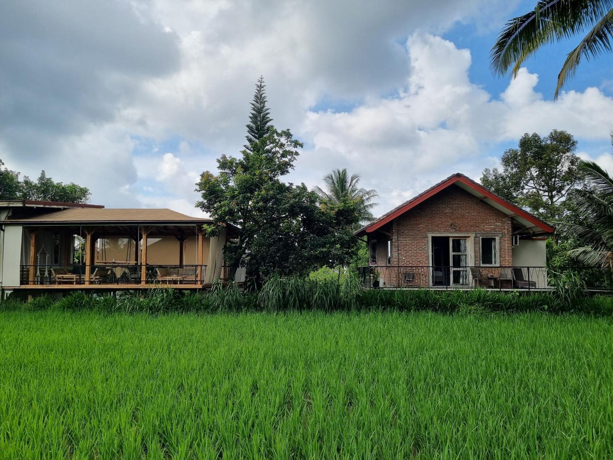 Hotel Les Rizieres Lombok - Tetebatu Exterior foto
